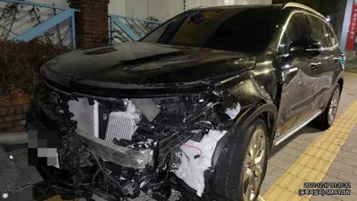 2021 Kia Sorento KNARH81BGMA088913 VIN:KNARH81BGMA088913