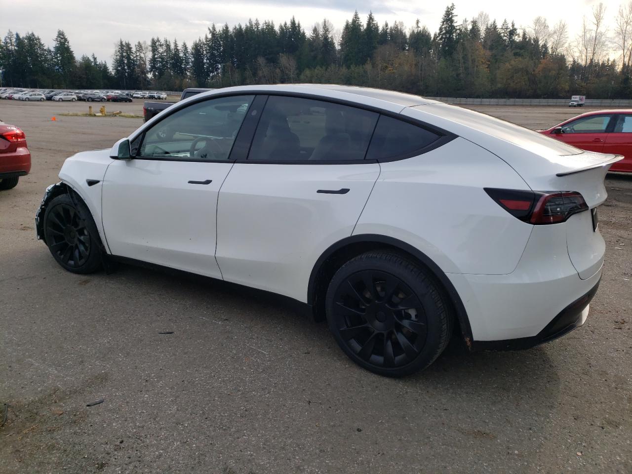 2024 TESLA MODEL Y  VIN:7SAYGAEE1RF190241