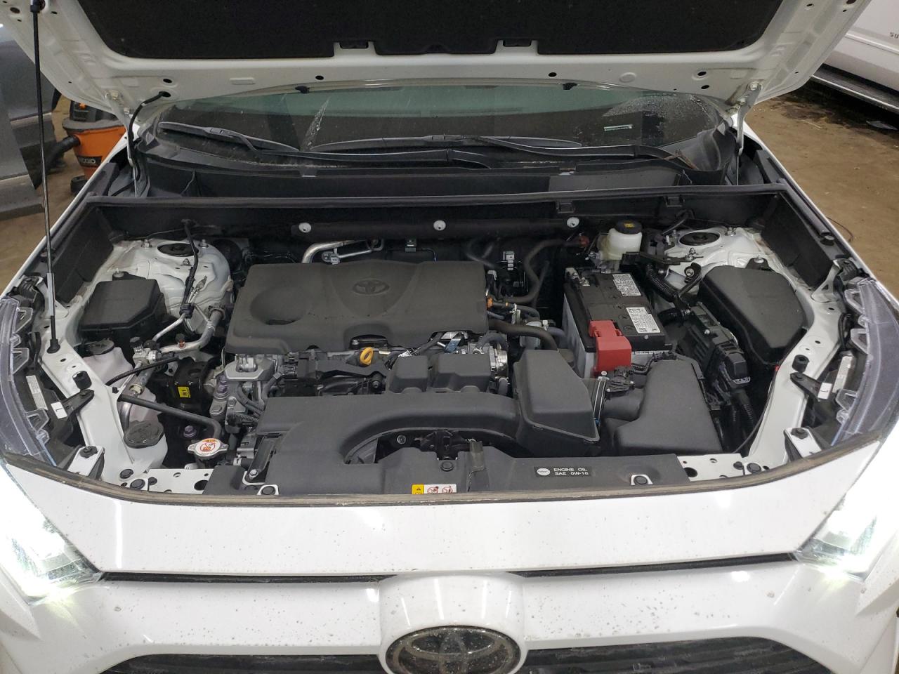 2024 TOYOTA RAV4 XLE VIN:2T3P1RFV2RC459785