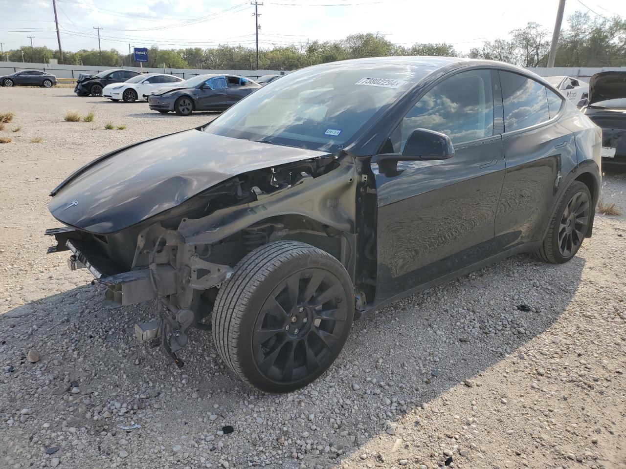 2023 TESLA MODEL Y  VIN:7SAYGDEE6PA169185