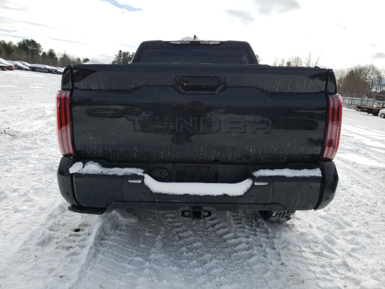 2024 TOYOTA TUNDRA CREWMAX PLATINUM VIN:5TFNC5DB9RX064791