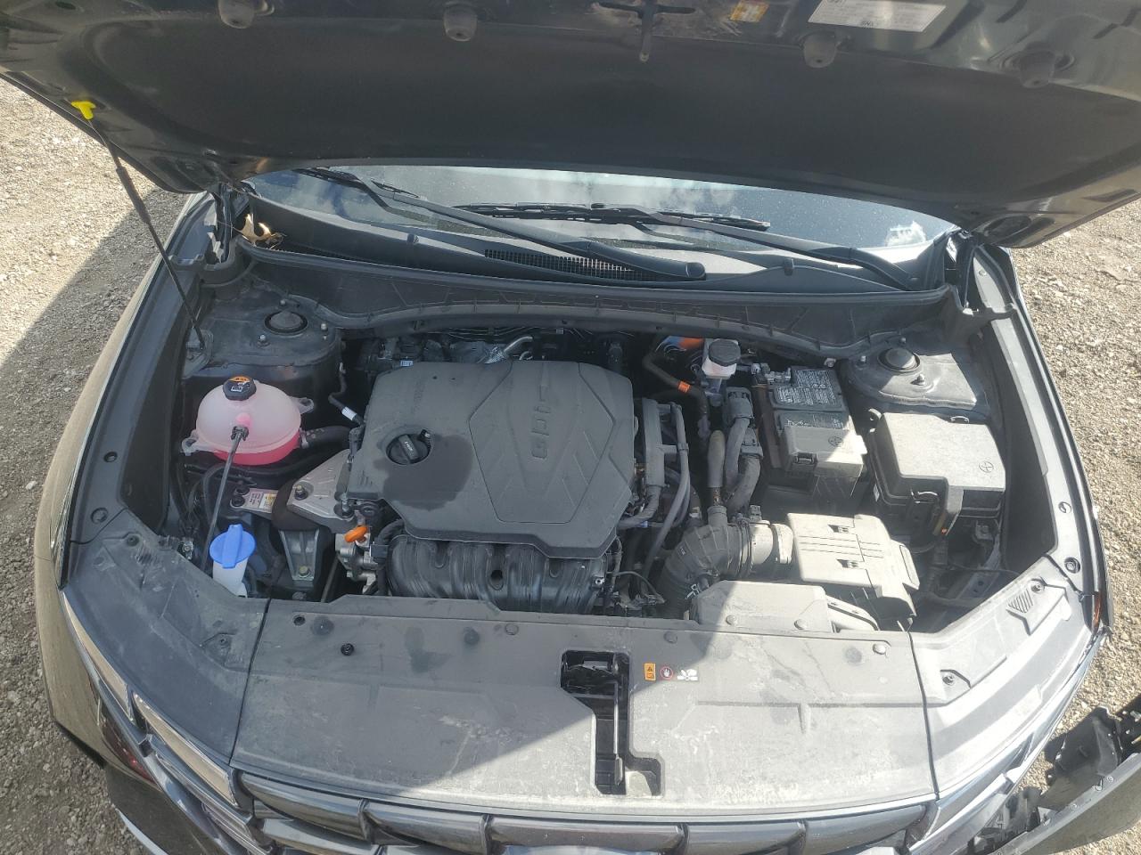 2023 HYUNDAI TUCSON SE VIN:5NMJACAE7PH245269