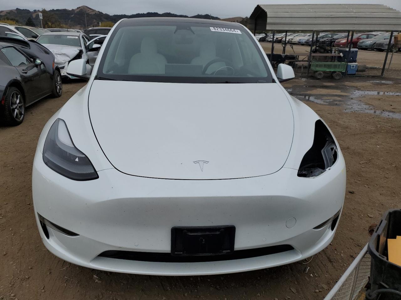 2022 TESLA MODEL Y  VIN:7SAYGDEE3NF561086