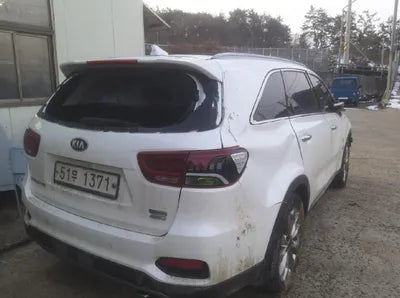 2019 Kia Sorento KNAPH81BDKA479311 VIN:KNAPH81BDKA479311