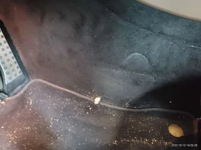 2020 Mercedes-Benz E 250 WDDZF4FB5LA701529 VIN:WDDZF4FB5LA701529