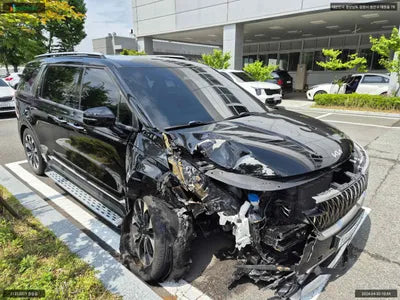 2021 Kia Carnival KNANE813BNS138691 VIN:KNANE813BNS138691