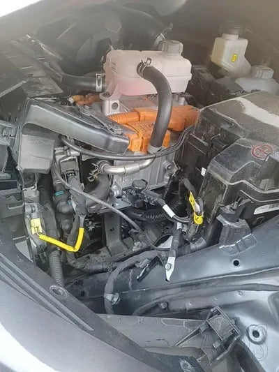 2022 Kia Sorento KNARF81GBNA119324 VIN:KNARF81GBNA119324