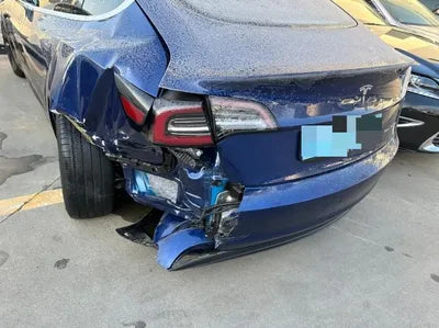 2020 Tesla Model 3 5YJ3E1EB7LF808981 VIN:5YJ3E1EB7LF808981