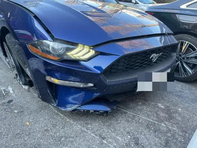 2019 Ford Mustang 442KM1FA6P8TH4K51 VIN:442KM1FA6P8TH4K51