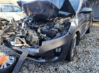 2019 Kia Sorento KNAPS81BDKA491375 VIN:KNAPS81BDKA491375
