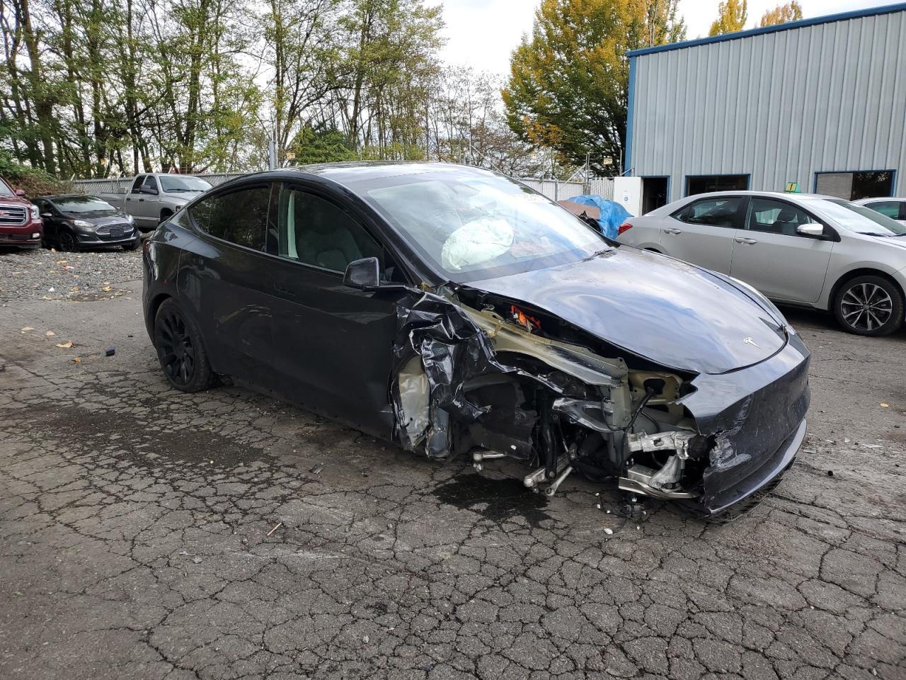 2024 TESLA MODEL Y  VIN:7SAYGAEE8RF004842