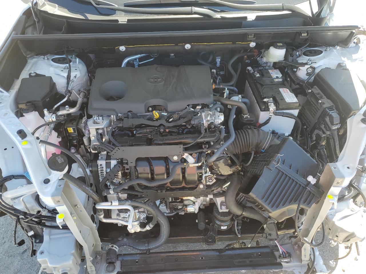 2024 TOYOTA RAV4 XLE PREMIUM VIN:JTMC1RFV7RJ031903