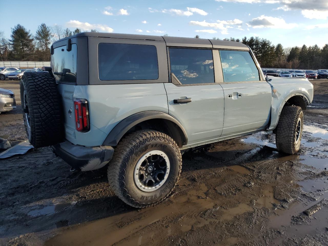 2023 FORD BRONCO BASE VIN:1FMEE5DP8PLB93420