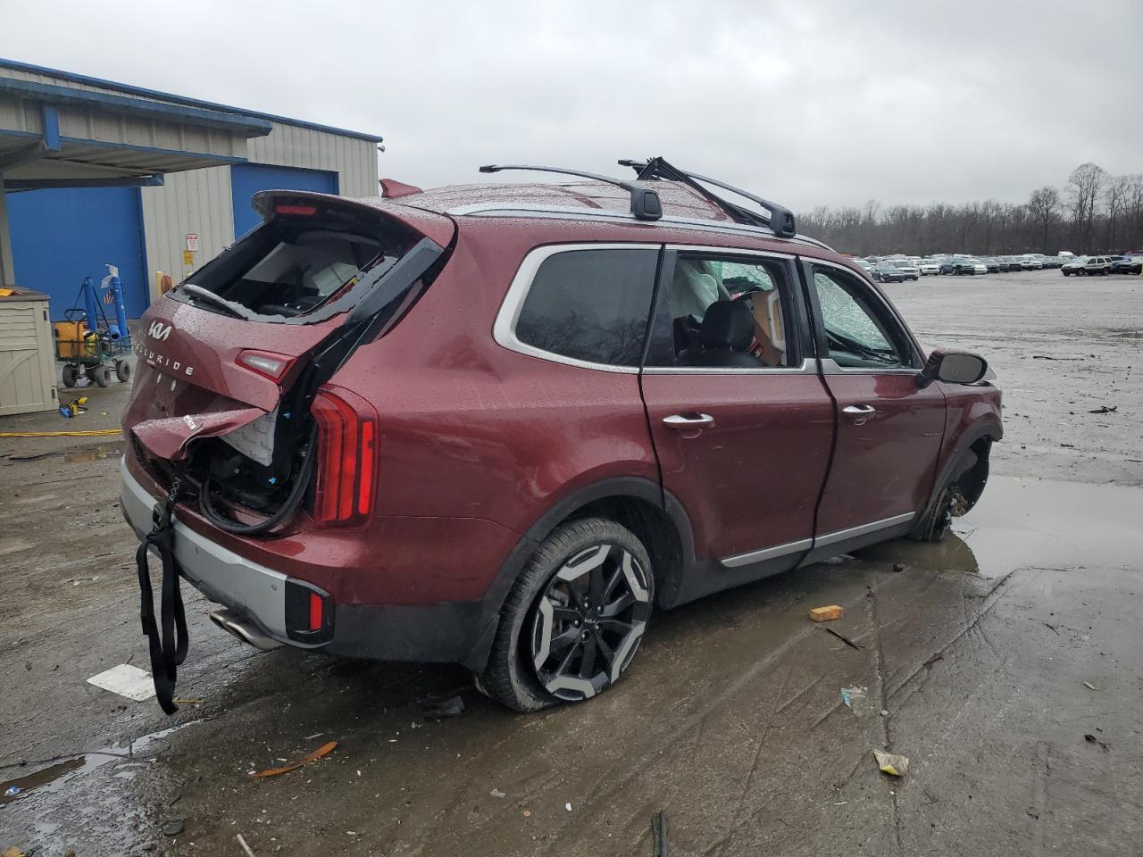 2024 KIA TELLURIDE S VIN:5XYP6DGC6RG437724