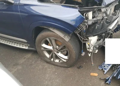 2019 Hyundai Santa FE KMHS581BBKU079646 VIN:KMHS581BBKU079646