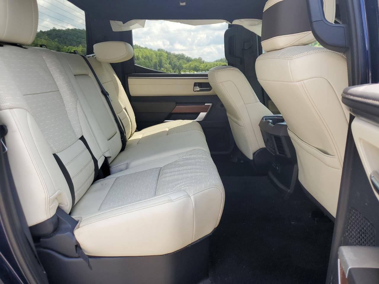 2023 TOYOTA TUNDRA CREWMAX PLATINUM VIN:5TFMA5DB8PX110206