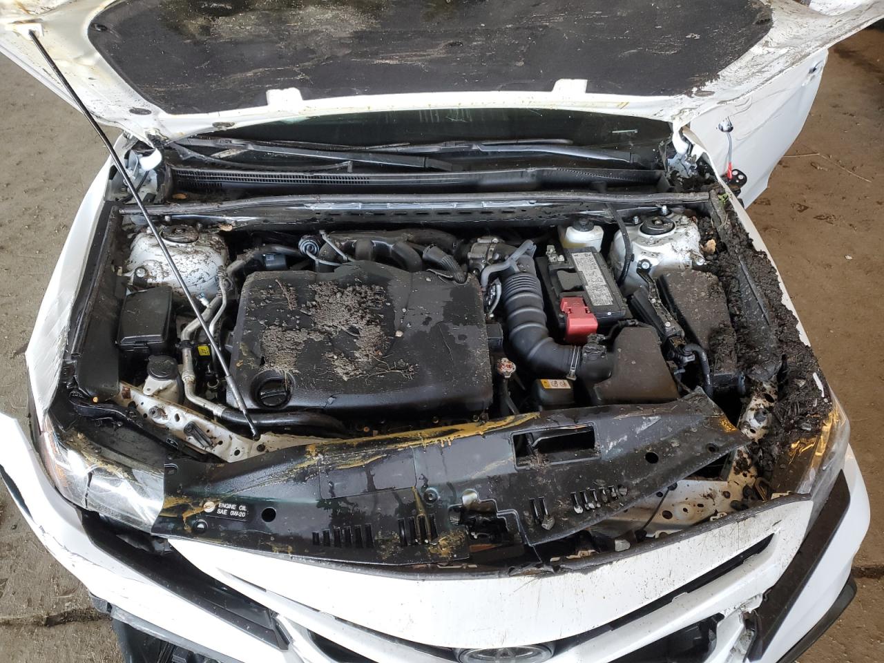 2024 TOYOTA CAMRY TRD VIN:4T1KZ1AK6RU090731