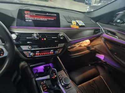 2020 BMW 520 WBAJF5100LWW58480 VIN:WBAJF5100LWW58480