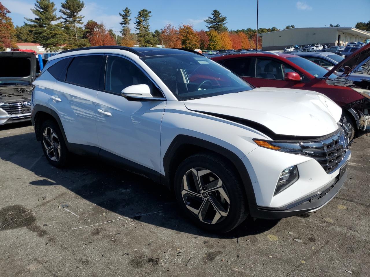 2023 HYUNDAI TUCSON LIMITED VIN:5NMJECAE8PH189928