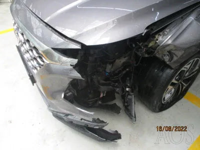 2019 Hyundai Santa FE KMHS381BDKU016097 VIN:KMHS381BDKU016097