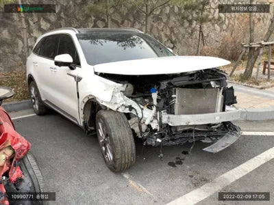 2020 Kia Sorento KNARF81BHMA008085 VIN:KNARF81BHMA008085