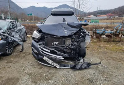 2016 Hyundai Santa FE KMHSW81UBGU692109 VIN:KMHSW81UBGU692109
