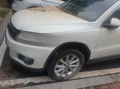 2014 Volkswagen Tiguan NONE VIN: