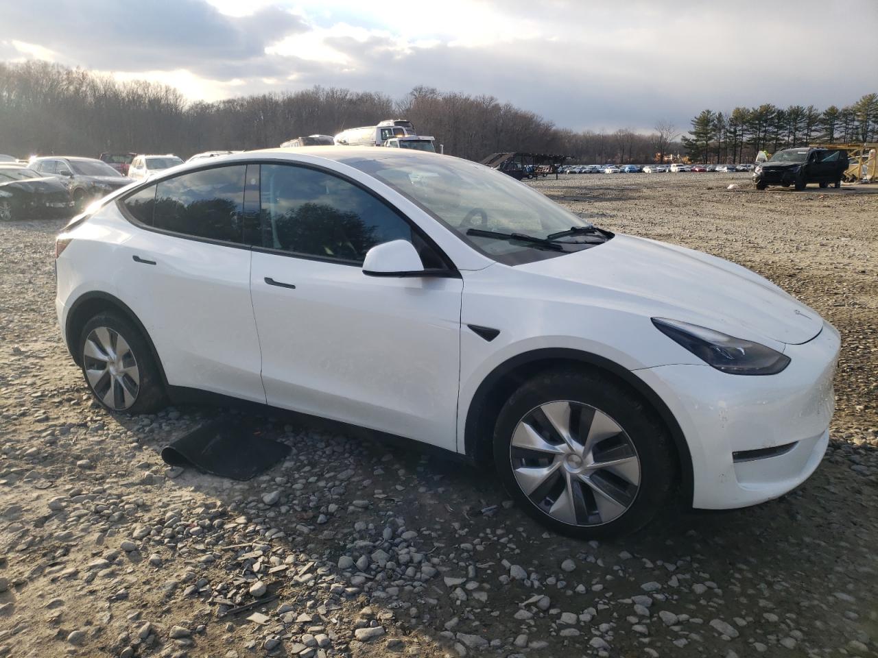 2023 TESLA MODEL Y  VIN:7SAYGAEE7PF749059