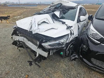 2016 Hyundai Ioniq KMHC851CGGU002184 VIN:KMHC851CGGU002184