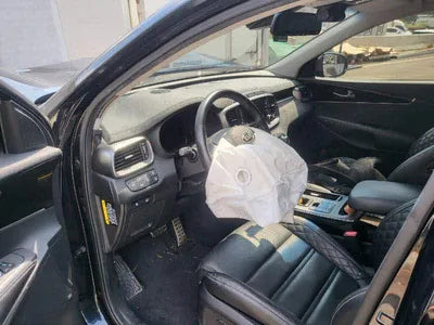 2019 Kia Sorento KNAPK81BBLA562518 VIN:KNAPK81BBLA562518