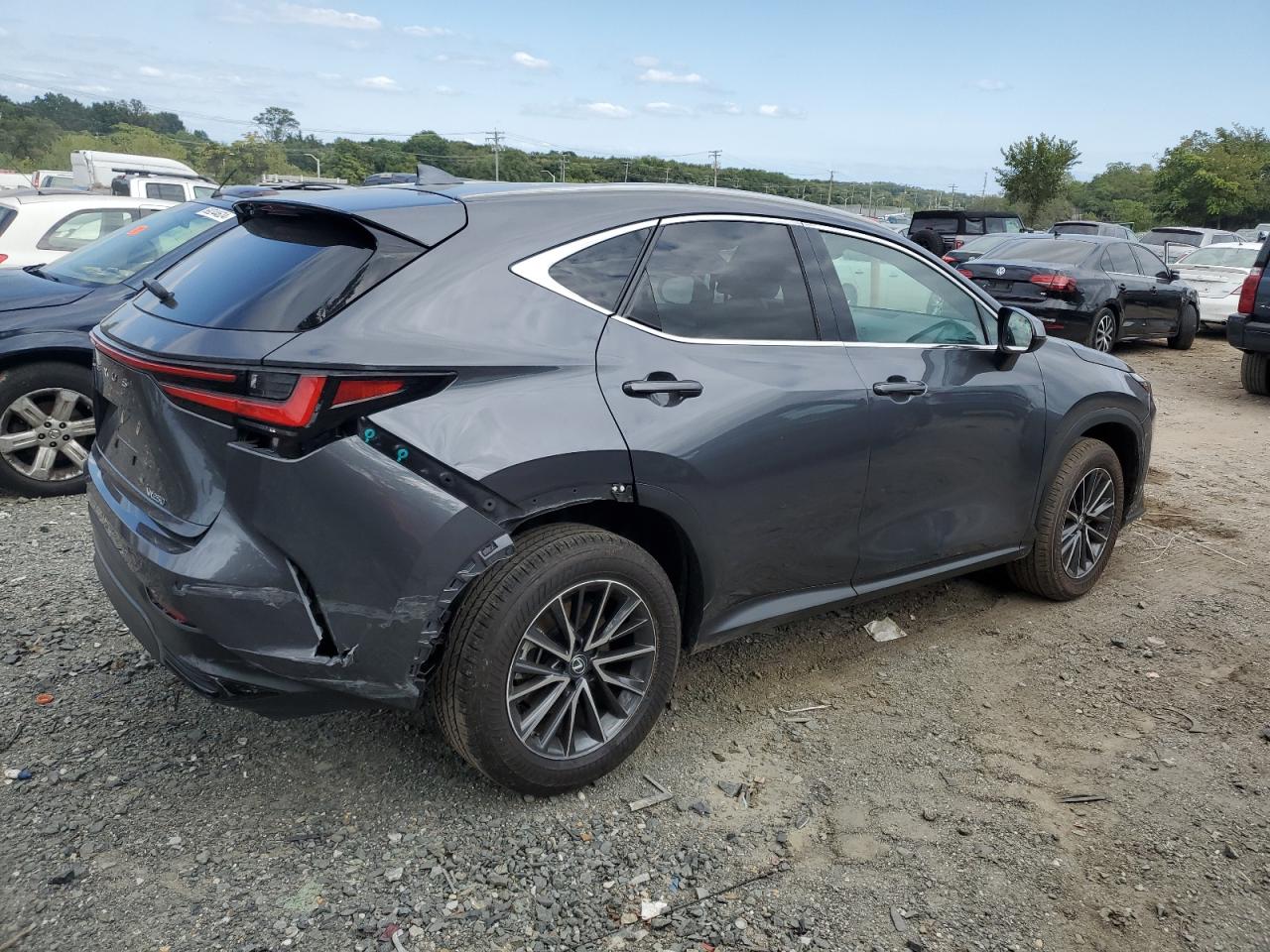 2022 LEXUS NX 250 VIN:2T2GDCAZ9NC002873