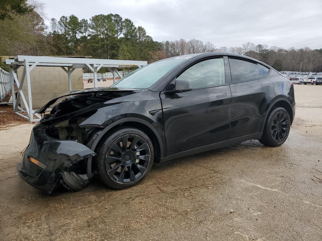 2022 TESLA MODEL Y  VIN:7SAYGDEE6NF481328