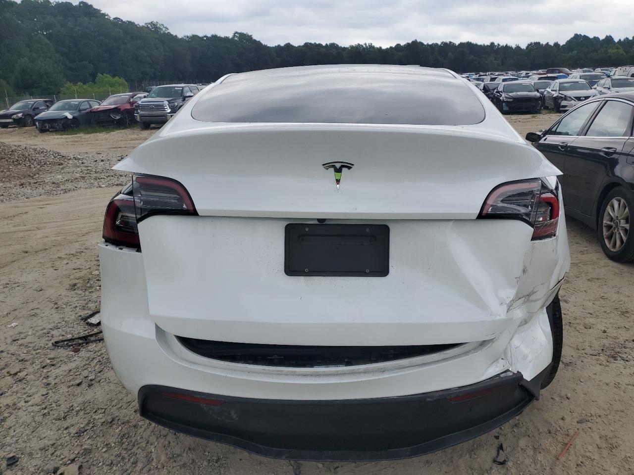 2023 TESLA MODEL Y  VIN:7SAYGDEEXPA030127