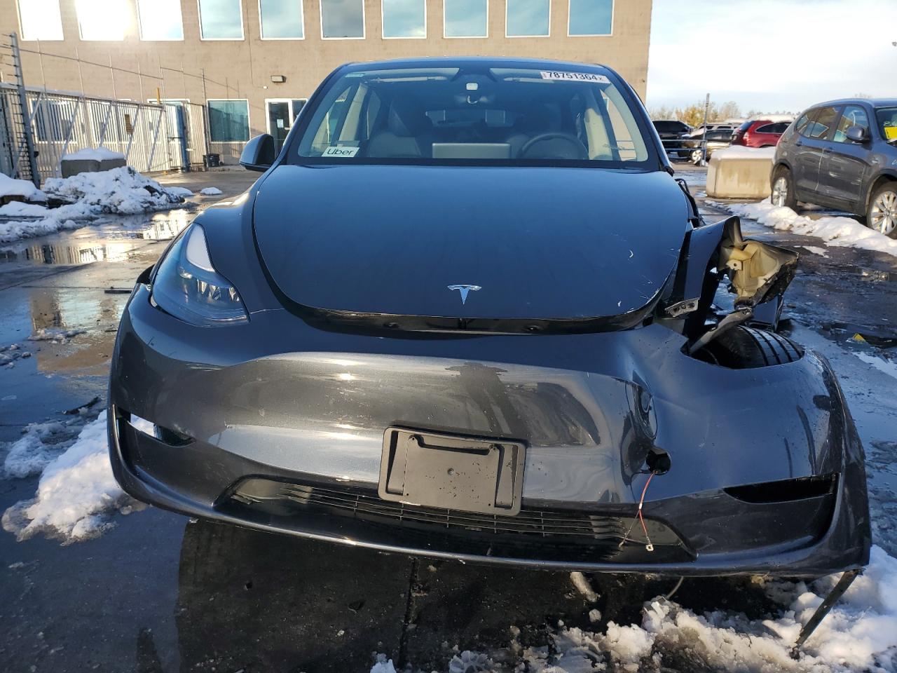 2024 TESLA MODEL Y  VIN:7SAYGDED6RF113227