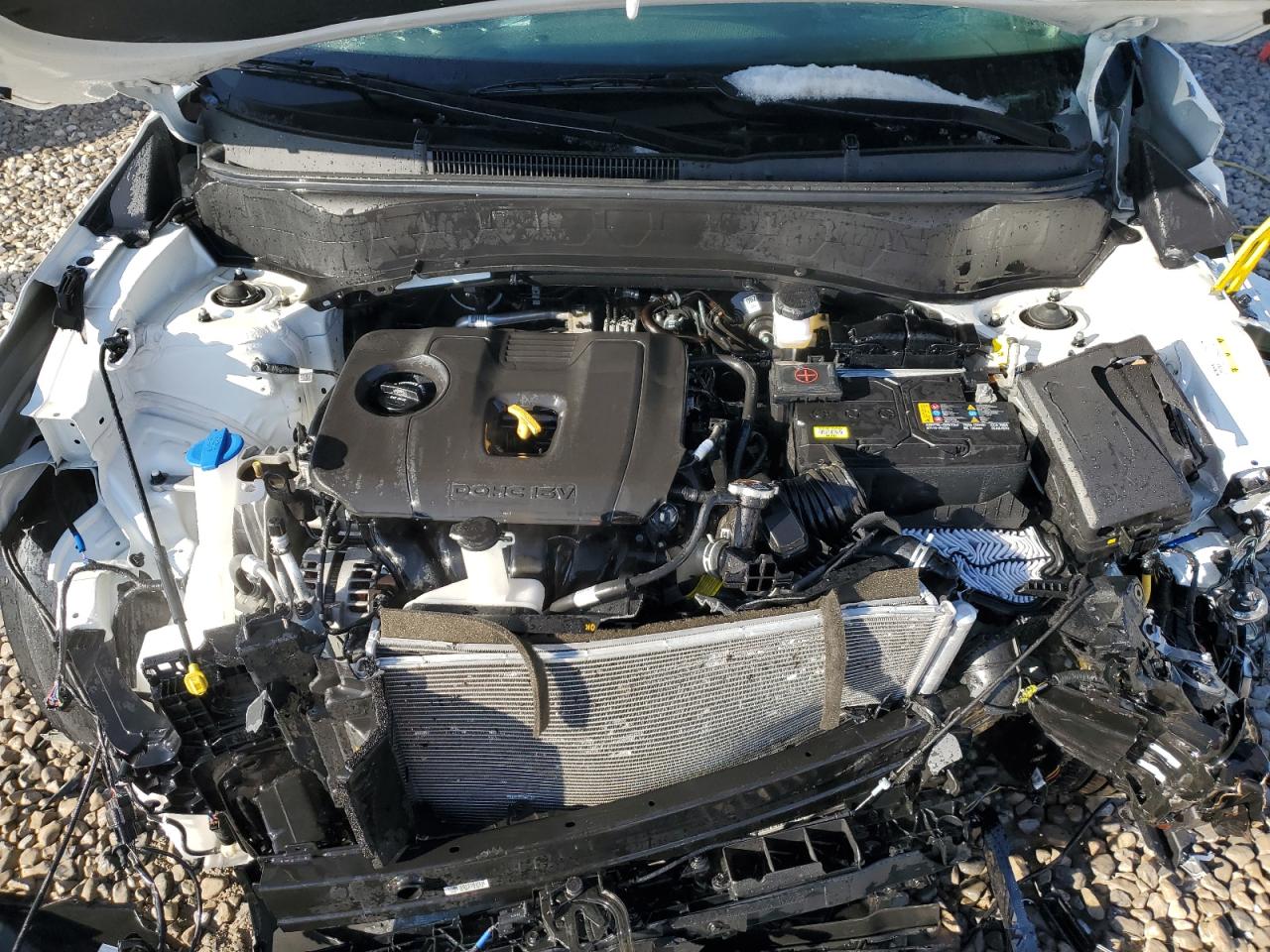 2024 KIA SELTOS EX VIN:KNDERCAA8R7599464