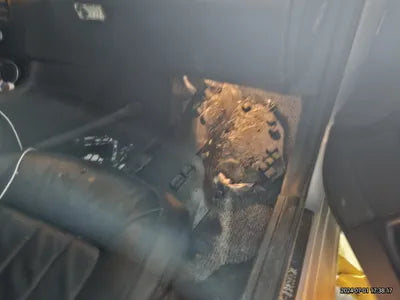 2015 Mercedes-Benz CLS 250 VIN: