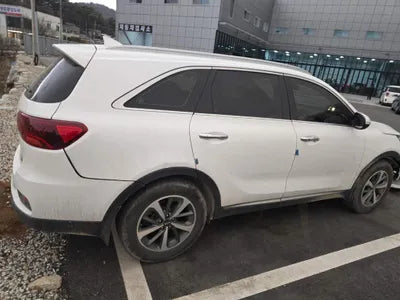 2019 Kia Sorento KNAPG81BDKA540068 VIN:KNAPG81BDKA540068