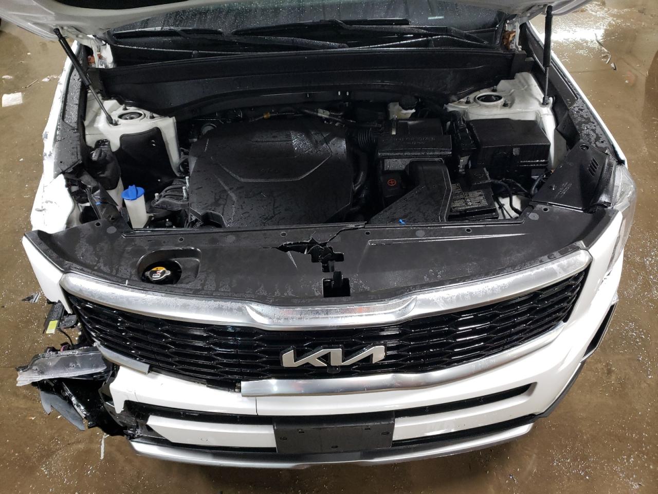 2022 KIA TELLURIDE SX VIN:5XYP5DHC4NG279864