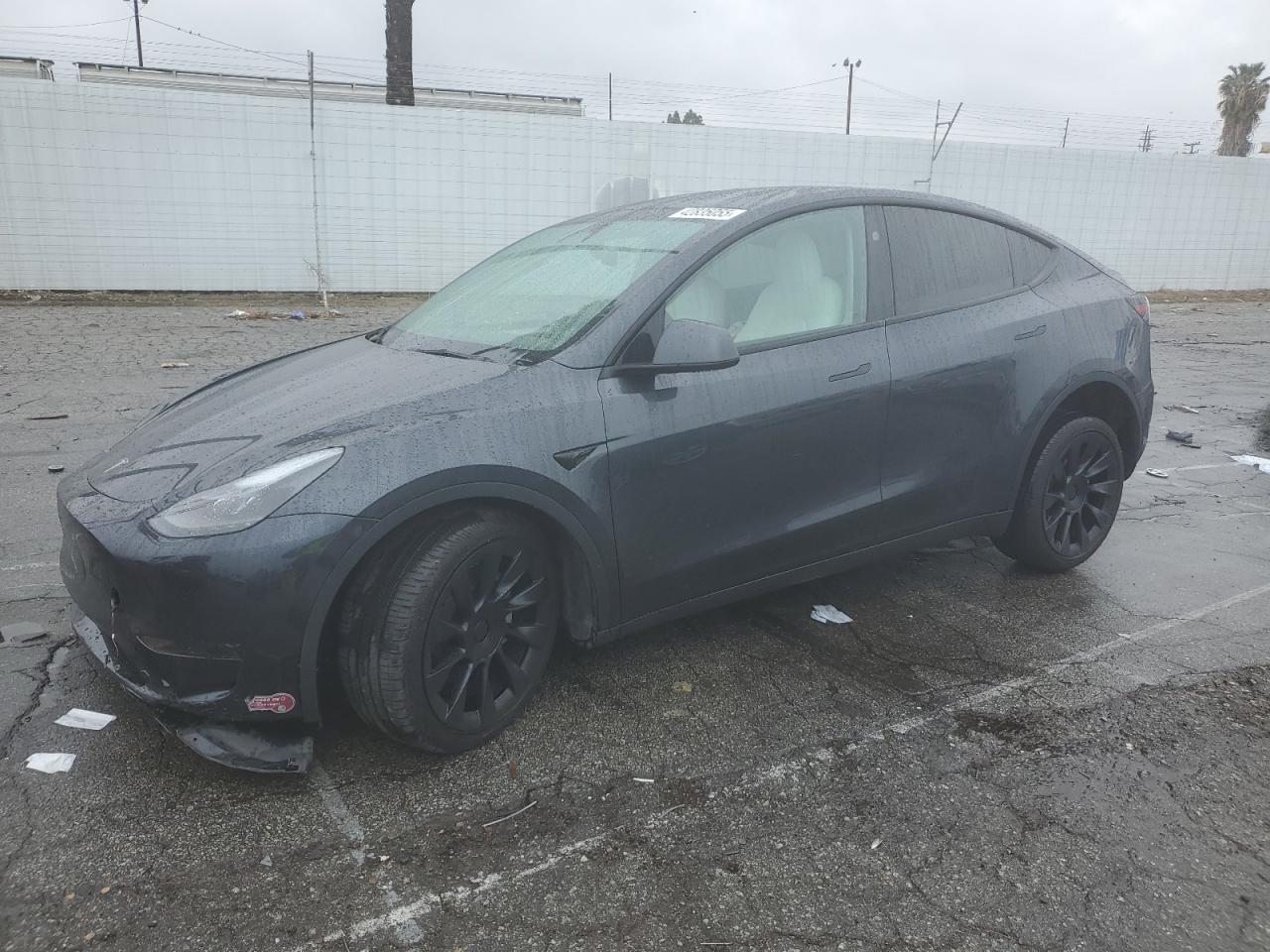2024 TESLA MODEL Y  VIN:7SAYGDED5RF054851