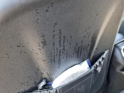 2019 Hyundai Santa FE KMHS381BDKU161183 VIN:KMHS381BDKU161183