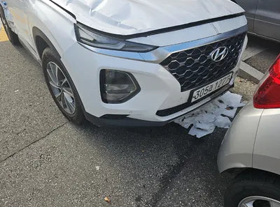 2020 Hyundai Santa FE KMHS281BBLU252014 VIN:KMHS281BBLU252014
