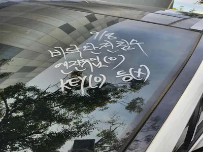 2020 Hyundai Santa FE KMHS581HGMU324857 VIN:KMHS581HGMU324857