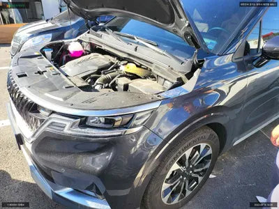 2022 Kia Carnival KNANE813BNS188633 VIN:KNANE813BNS188633
