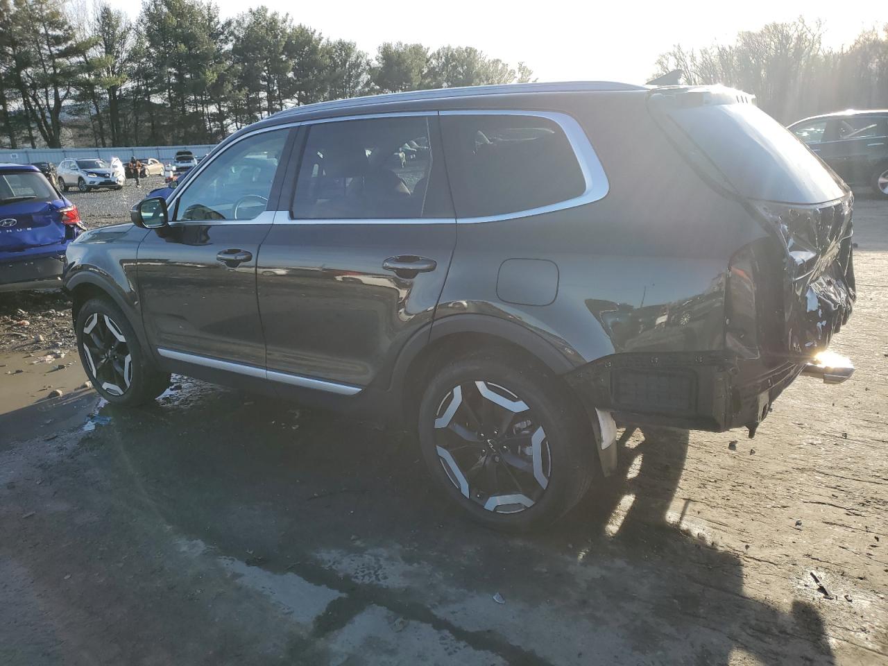 2024 KIA TELLURIDE EX VIN:5XYP3DGC4RG492343