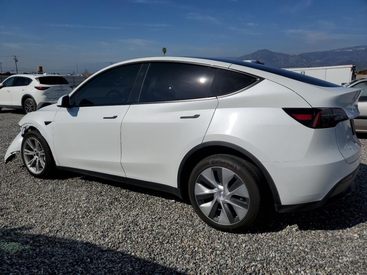 2023 TESLA MODEL Y  VIN:7SAYGDEE4PF808702