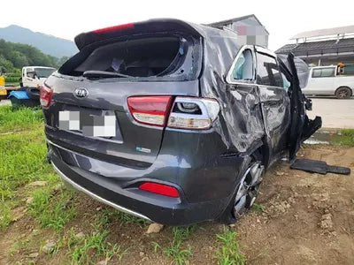 2016 Kia Sorento KNAPS81ABGA223165 VIN:KNAPS81ABGA223165