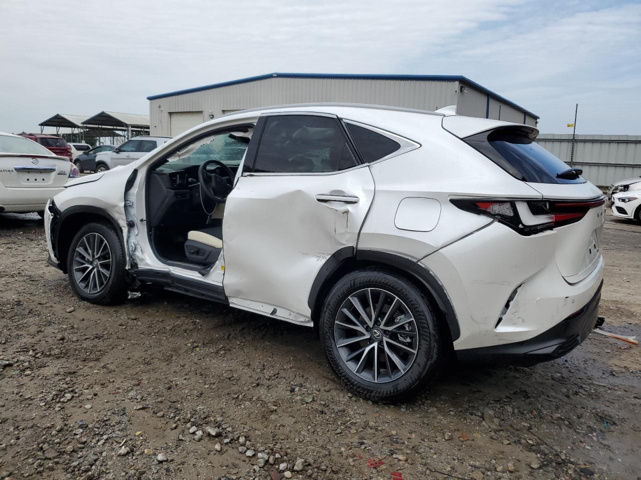 2024 LEXUS NX 250 PREMIUM VIN:2T2GDCAZ3RC011025