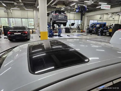 2019 Toyota Camry JTNB21HK1K3021662 VIN:JTNB21HK1K3021662