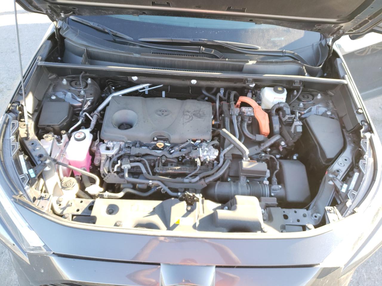 2023 TOYOTA RAV4 XLE VIN:4T3RWRFVXPU100061