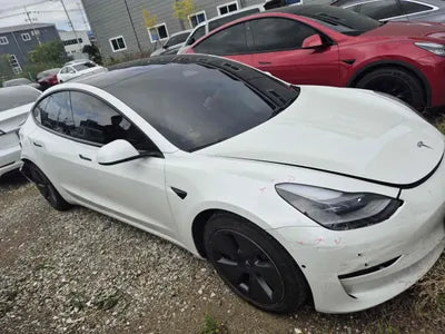 2021 Tesla Model 3 5YJ3E1EB6MF011316 VIN:5YJ3E1EB6MF011316